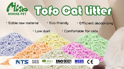 Diverse Cat Litter Solutions to Meet Market Demands