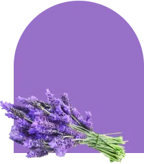 Lavender