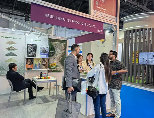 During the Exhibition