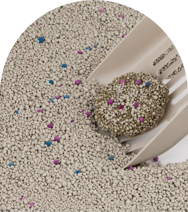 Bentonite cat litter clumping