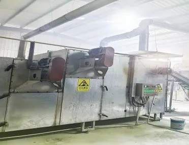 Drying and sterilization