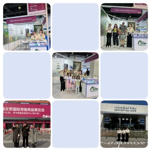 We participate in exhibitions all over the country
