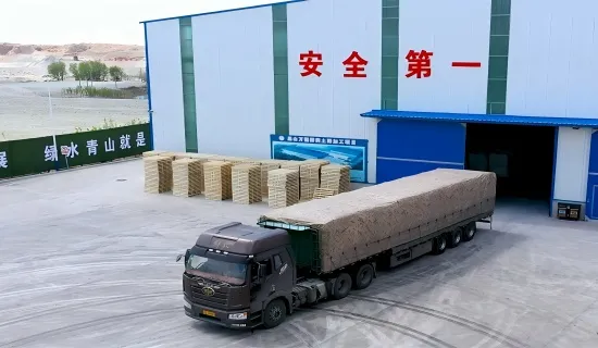 Capacity increase and employment drive