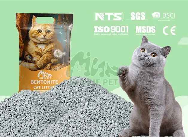 Broken Bentonite Cat Litter