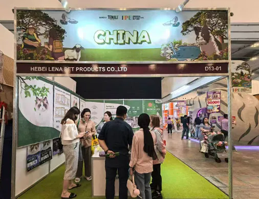 During the IIPE Indonesia exhibition