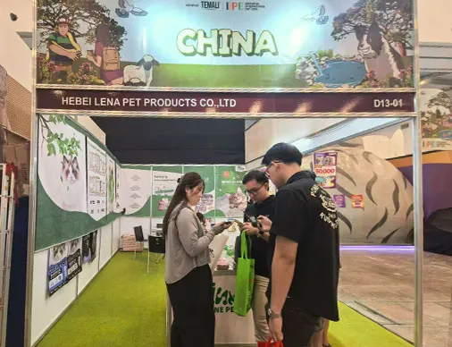 During the IIPE Indonesia exhibition2