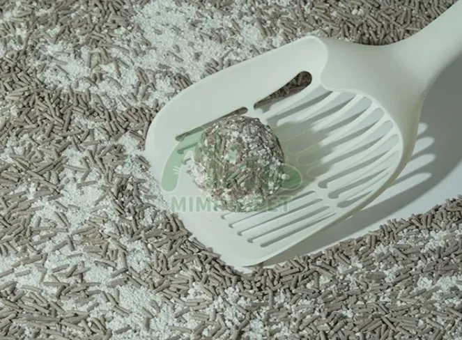 How Cat Litter Works to Control Odor and Moisture