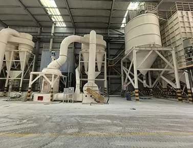 Cat litter production