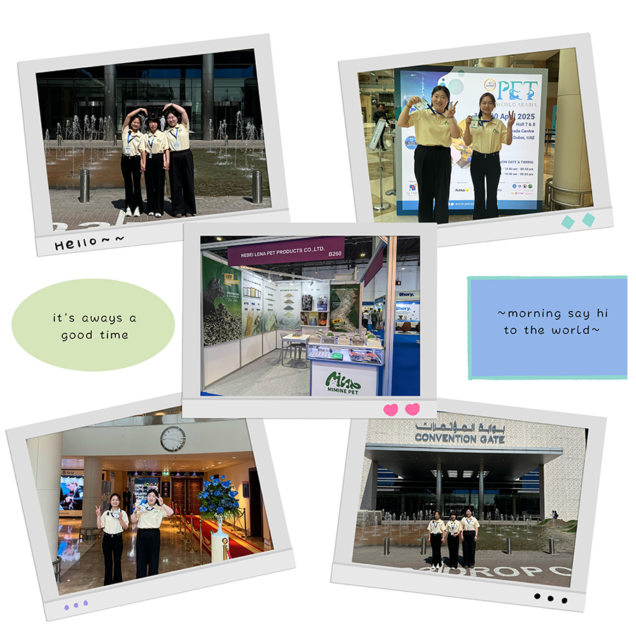 Live from Pet World Arabia 2025 — Mimine’s Custom Cat Litter Sets the Market Ablaze