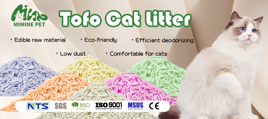 Diverse Cat Litter Solutions to Meet Market Demands
