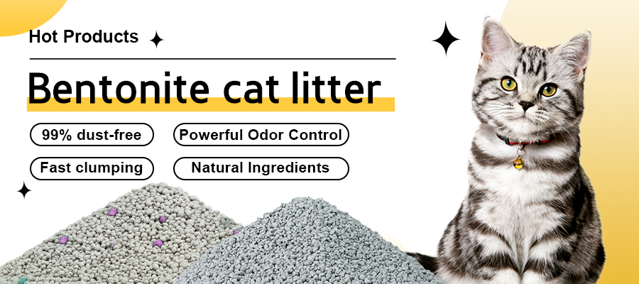 Diverse Cat Litter Solutions to Meet Market Demands